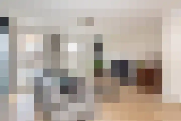 Elstar 24 Berkel-Enschot thumbnail 15