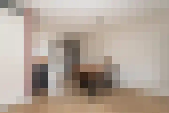 Elstar 24 Berkel-Enschot thumbnail 16