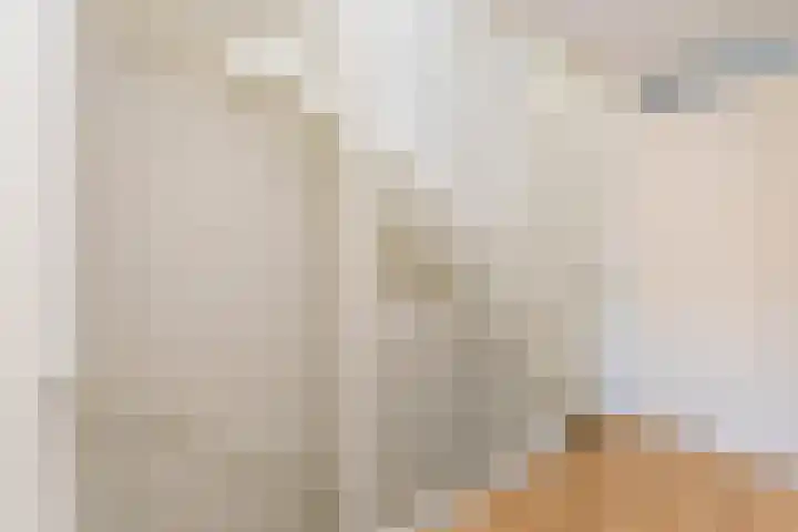 Elstar 24 Berkel-Enschot thumbnail 20