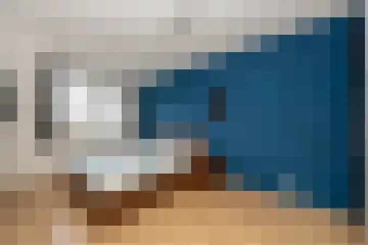 Elstar 24 Berkel-Enschot thumbnail 21