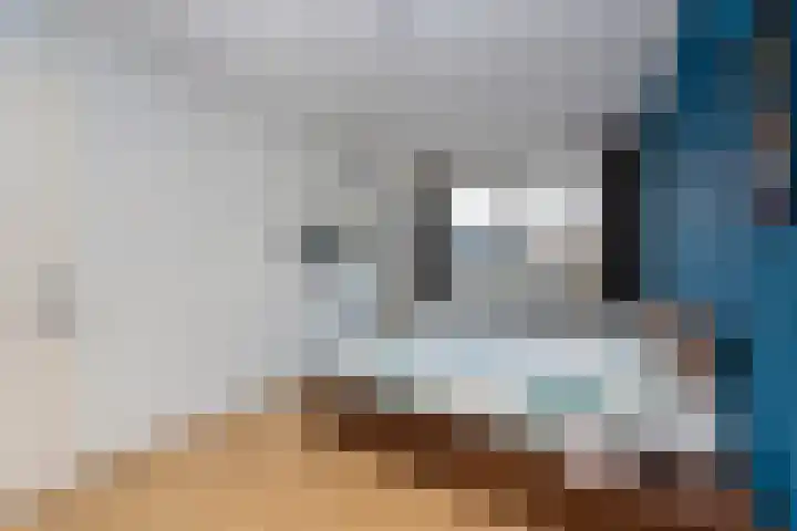 Elstar 24 Berkel-Enschot thumbnail 22