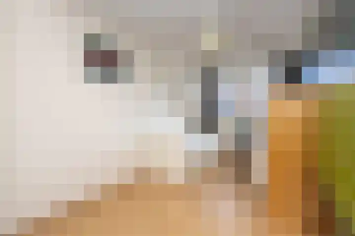 Elstar 24 Berkel-Enschot thumbnail 24