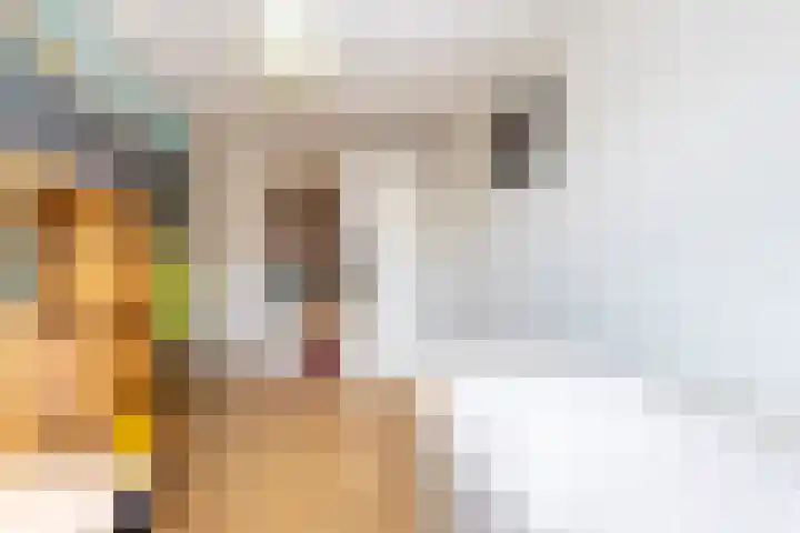 Elstar 24 Berkel-Enschot thumbnail 25