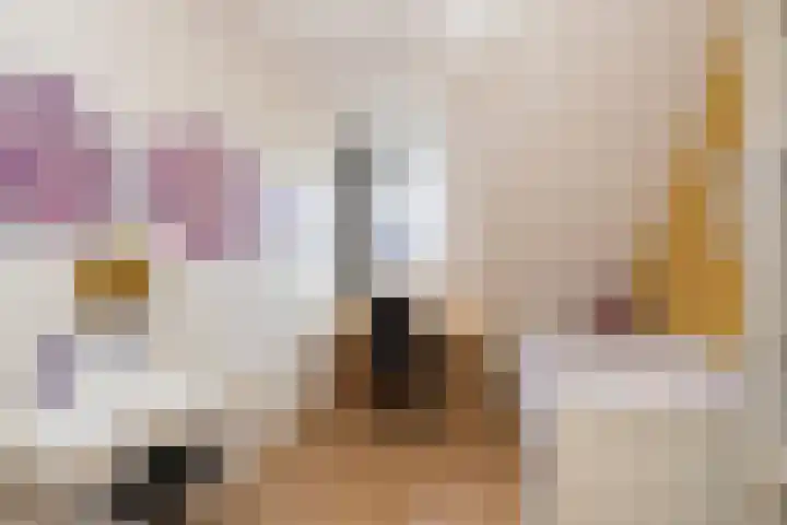 Elstar 24 Berkel-Enschot thumbnail 26