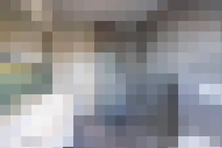 Elstar 24 Berkel-Enschot thumbnail 29