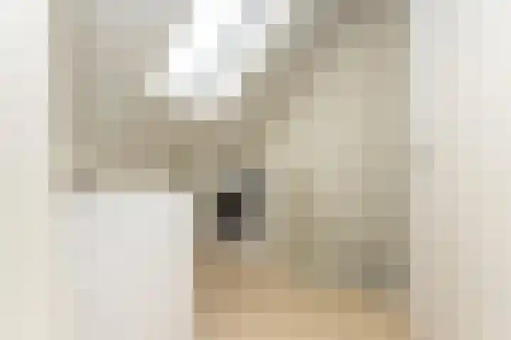 Elstar 24 Berkel-Enschot thumbnail 31