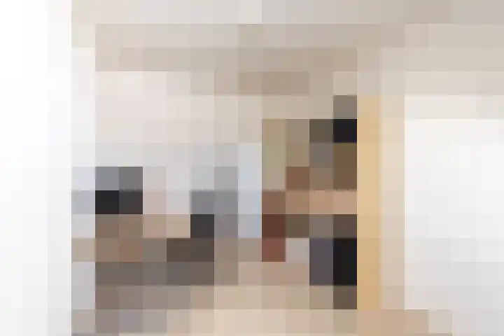 Elstar 24 Berkel-Enschot thumbnail 33