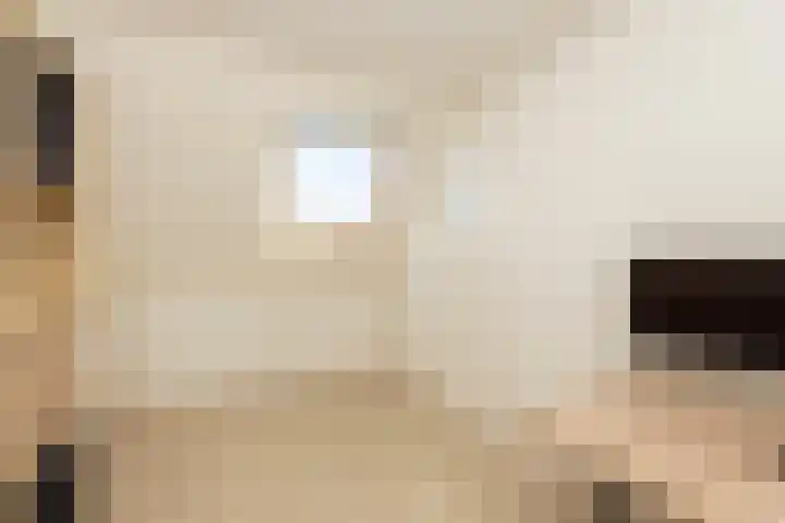 Elstar 24 Berkel-Enschot thumbnail 34