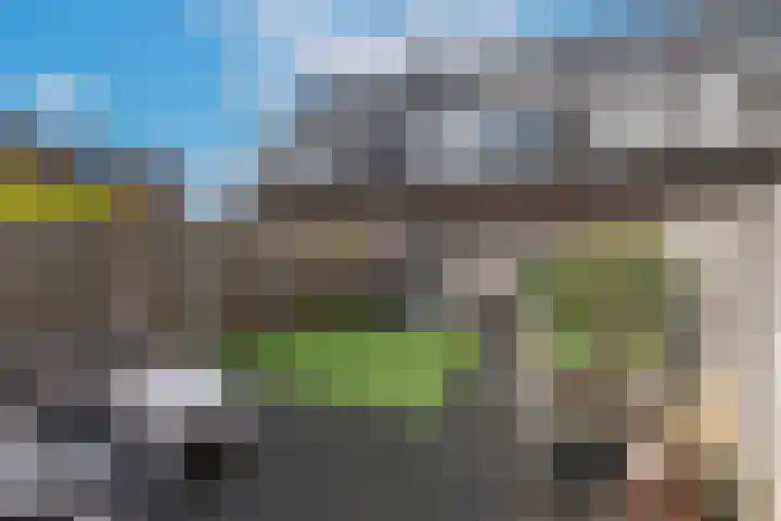Elstar 24 Berkel-Enschot thumbnail 37