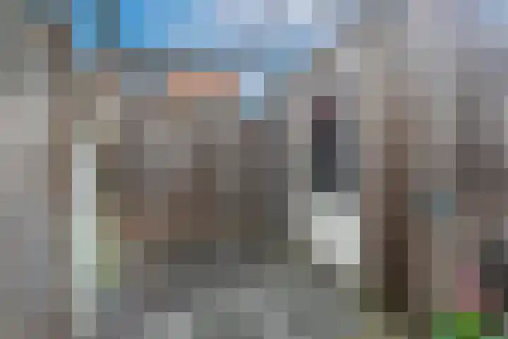 Elstar 24 Berkel-Enschot thumbnail 38
