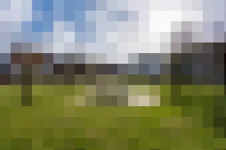 Elstar 24 Berkel-Enschot thumbnail 41