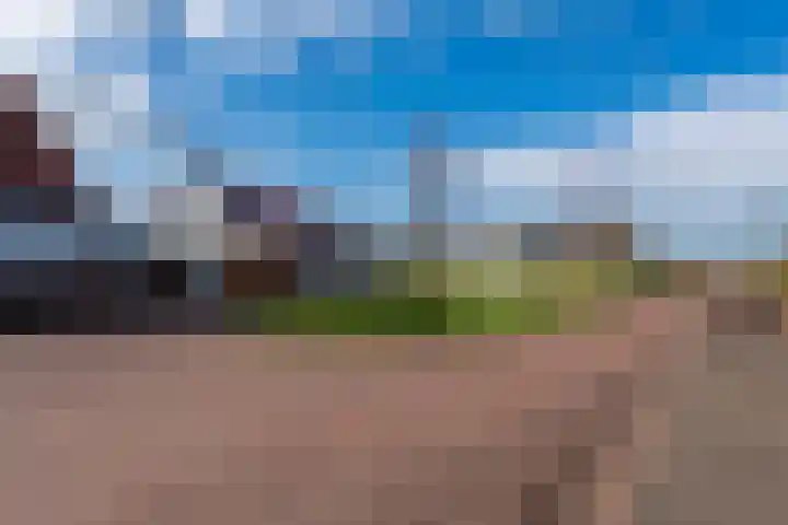Elstar 24 Berkel-Enschot thumbnail 42