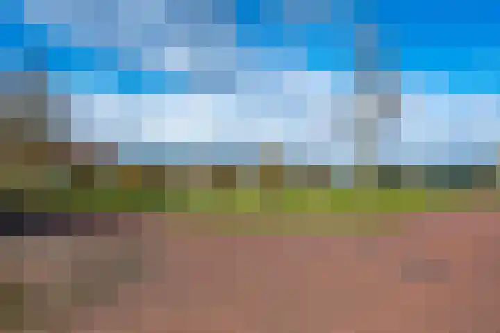 Elstar 24 Berkel-Enschot thumbnail 43