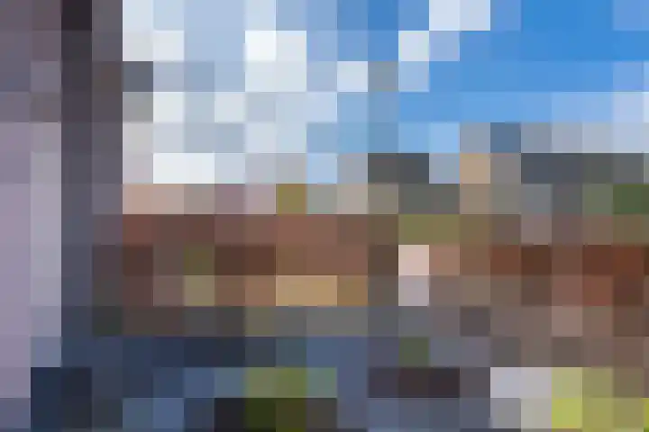 Elstar 24 Berkel-Enschot thumbnail 8