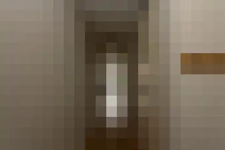 Elstar 24 Berkel-Enschot thumbnail 9
