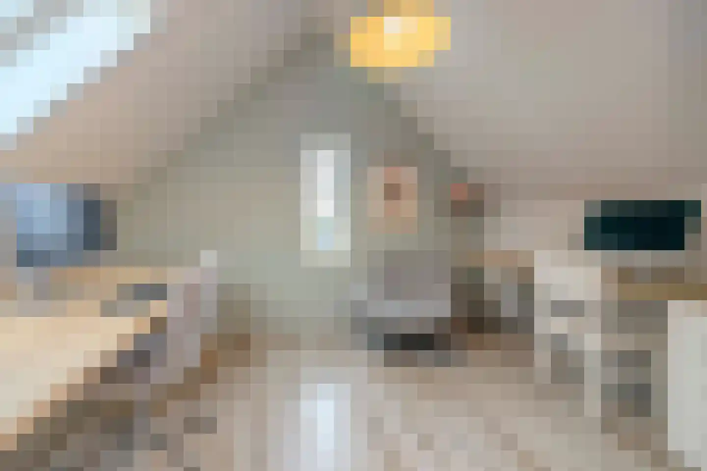 Elstar 33 Berkel-Enschot thumbnail 31
