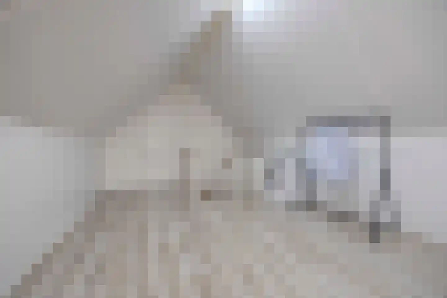 Elstar 33 Berkel-Enschot thumbnail 33