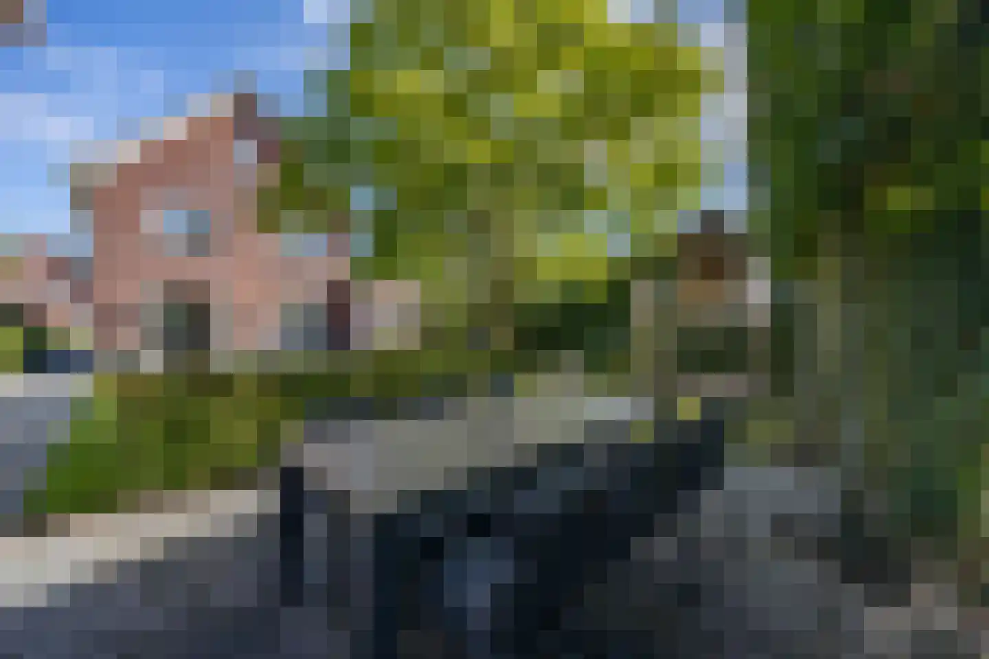 Elstar 33 Berkel-Enschot thumbnail 42