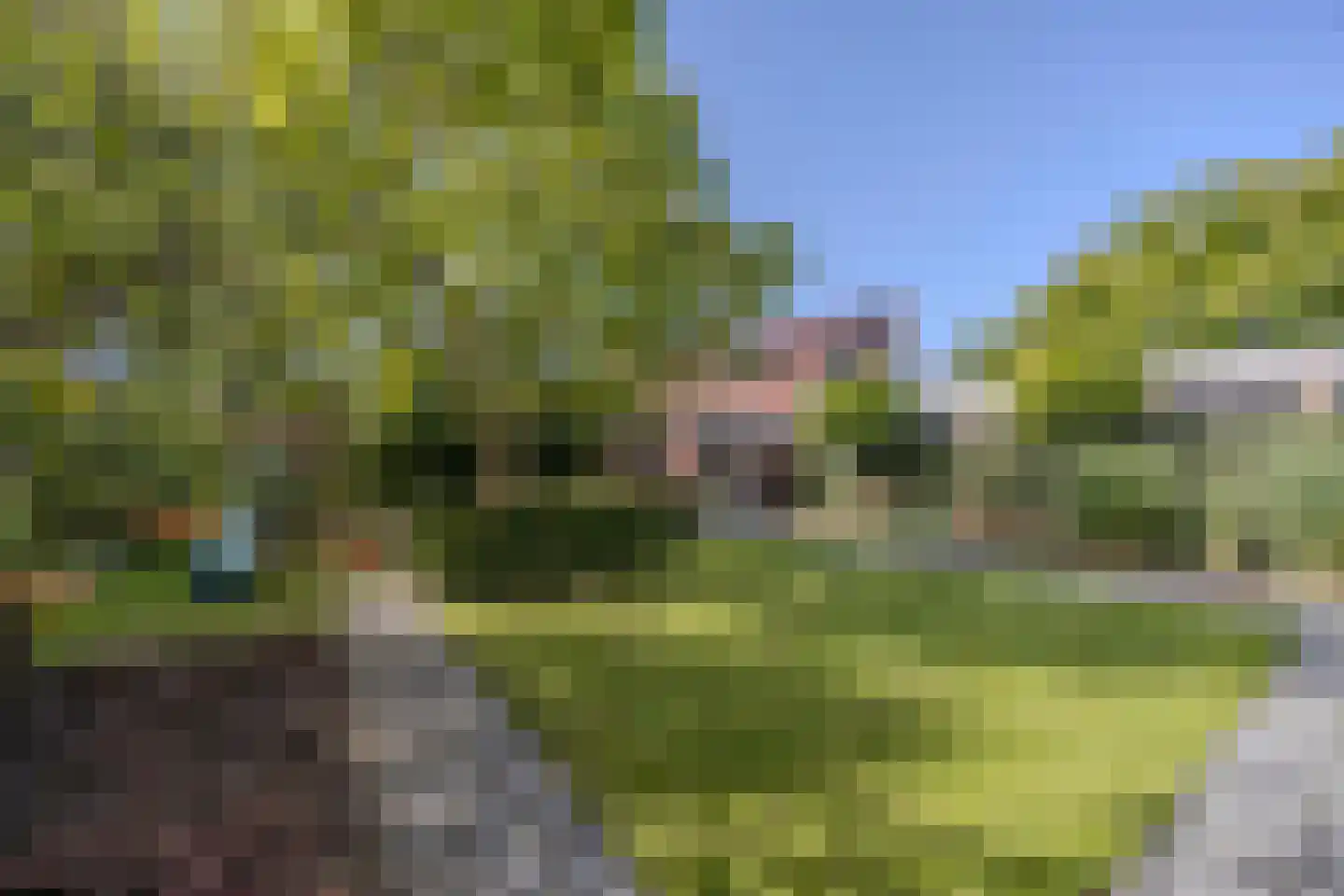 Elstar 33 Berkel-Enschot thumbnail 44