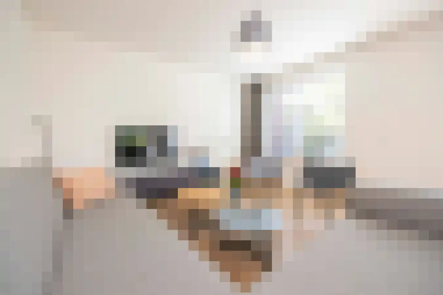 Elstar 33 Berkel-Enschot thumbnail 9