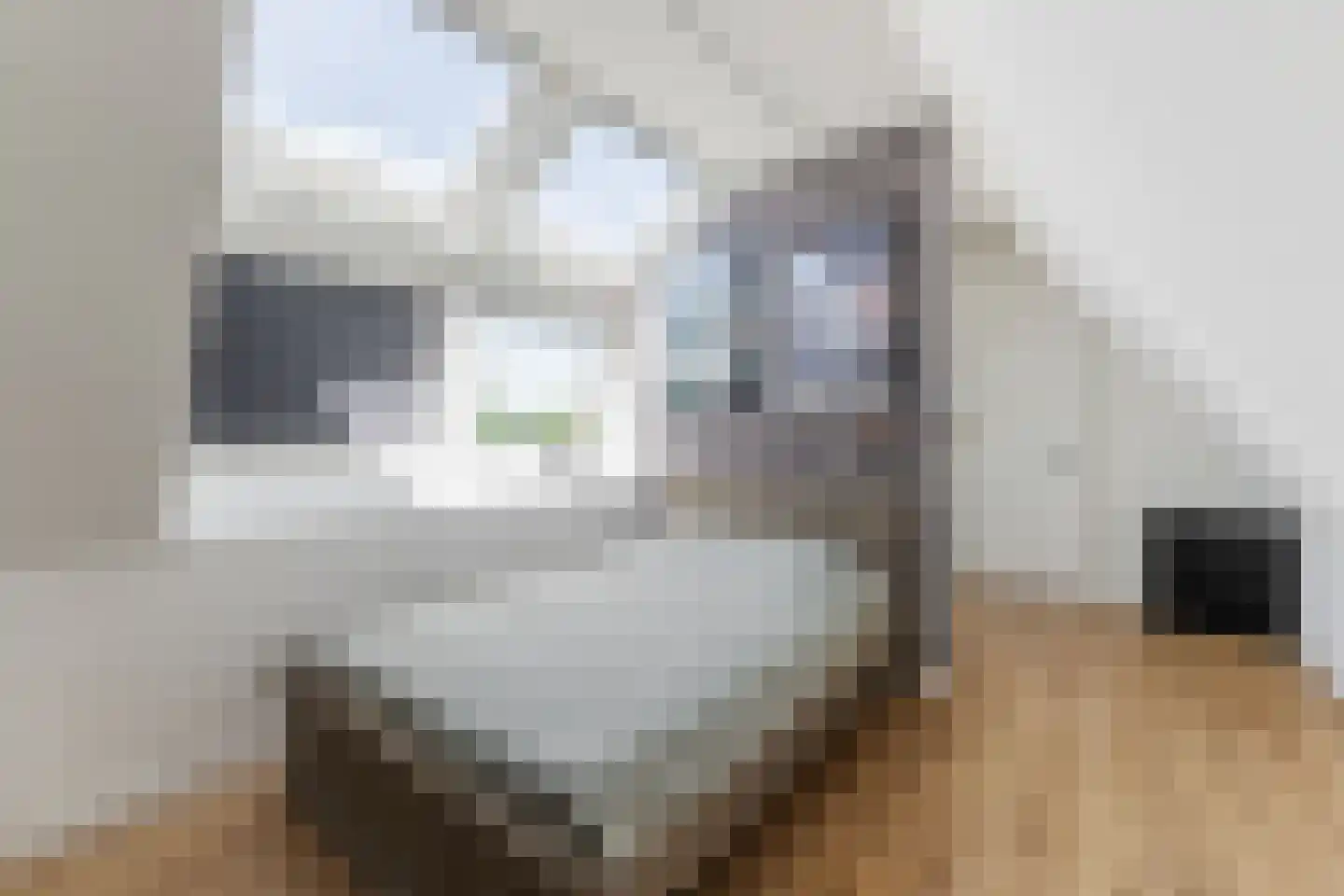 Elstar 38 Berkel-Enschot thumbnail 26