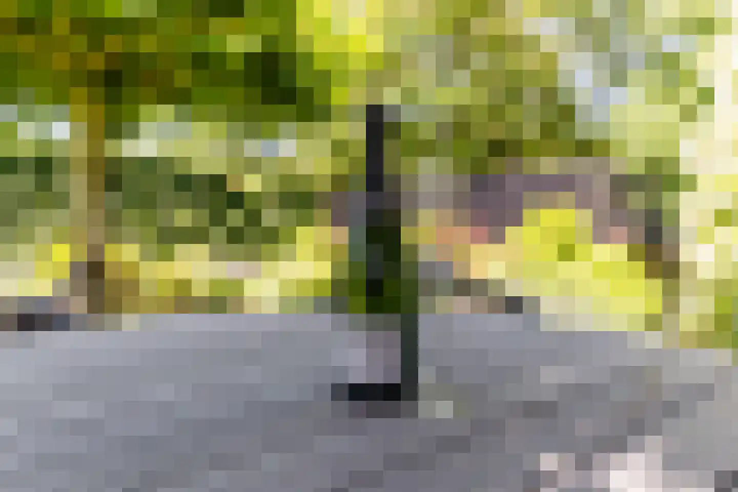 Elstar 38 Berkel-Enschot thumbnail 32