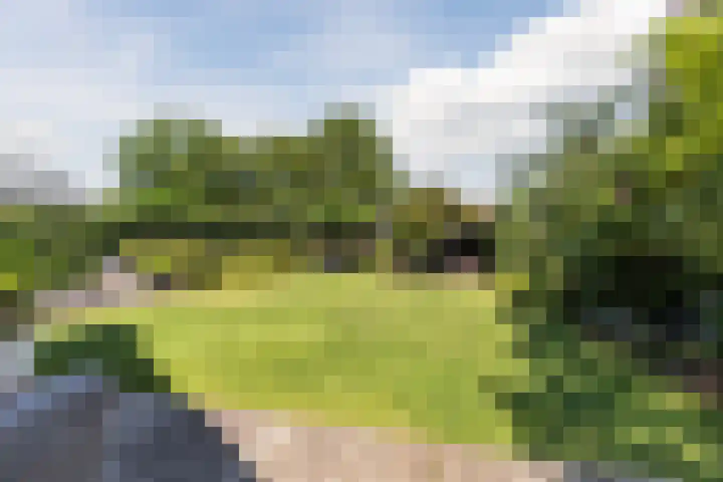 Elstar 38 Berkel-Enschot thumbnail 5