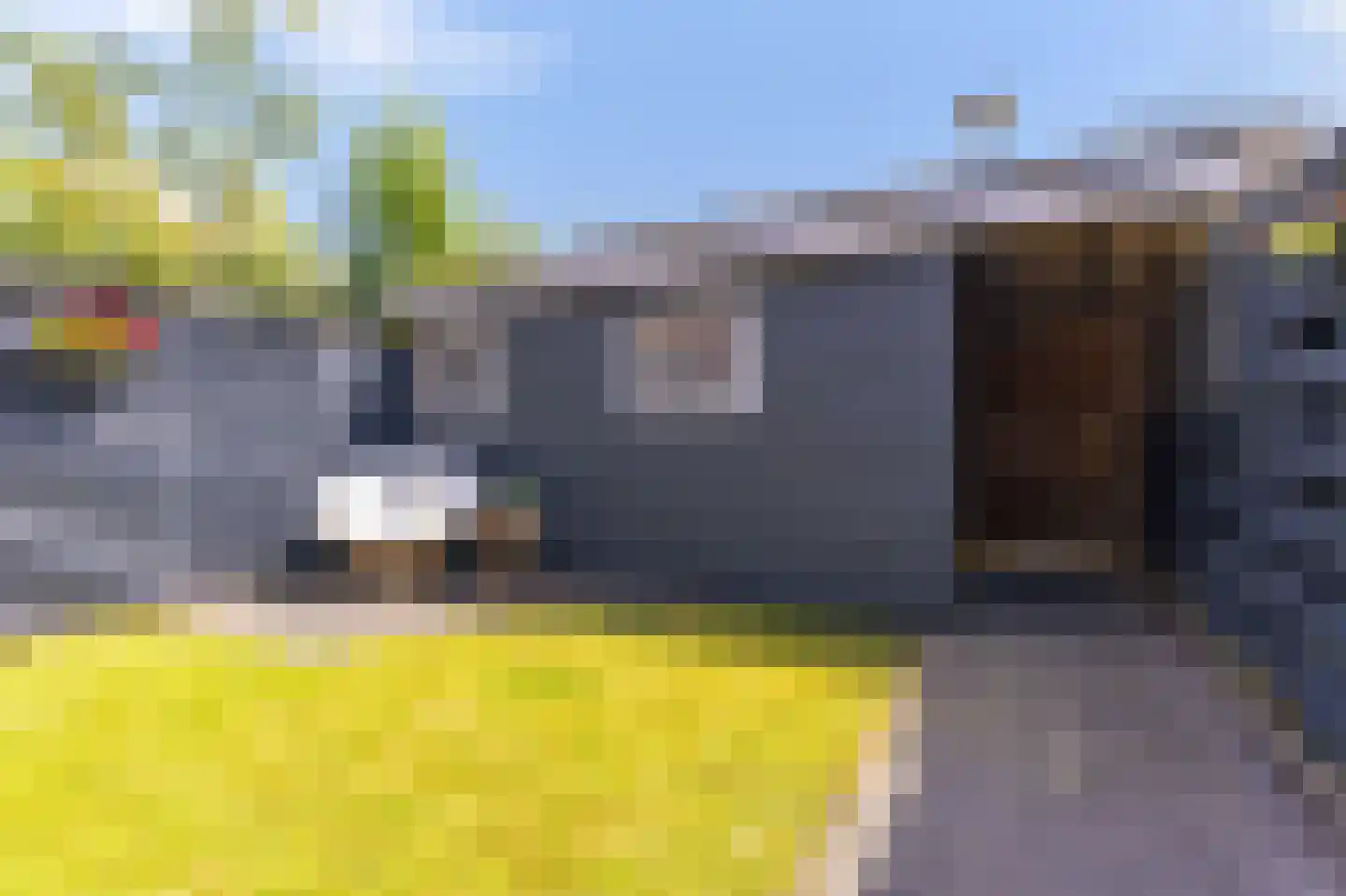 Elstar 4 Andijk thumbnail 20