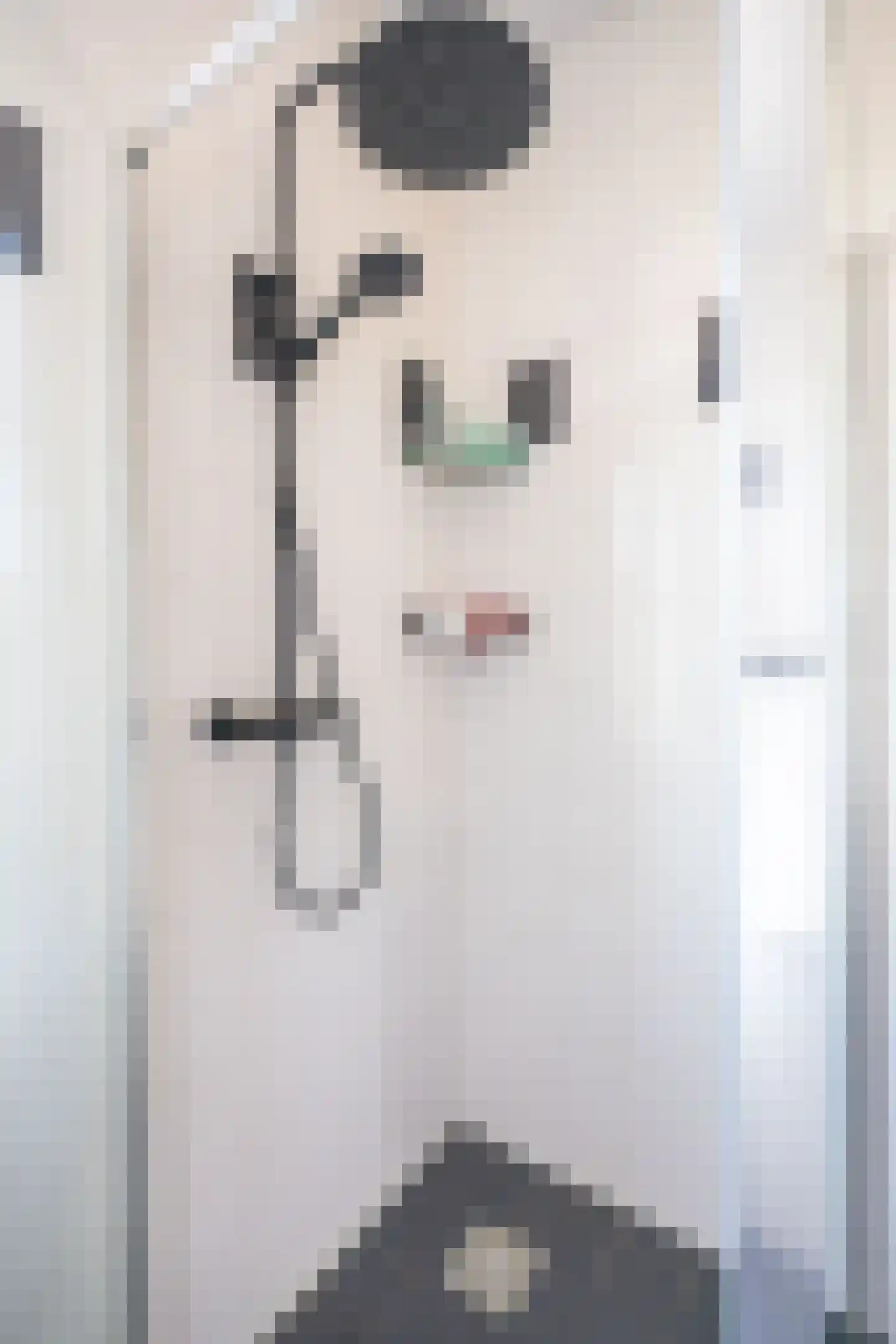 Elstar 4 Andijk thumbnail 32
