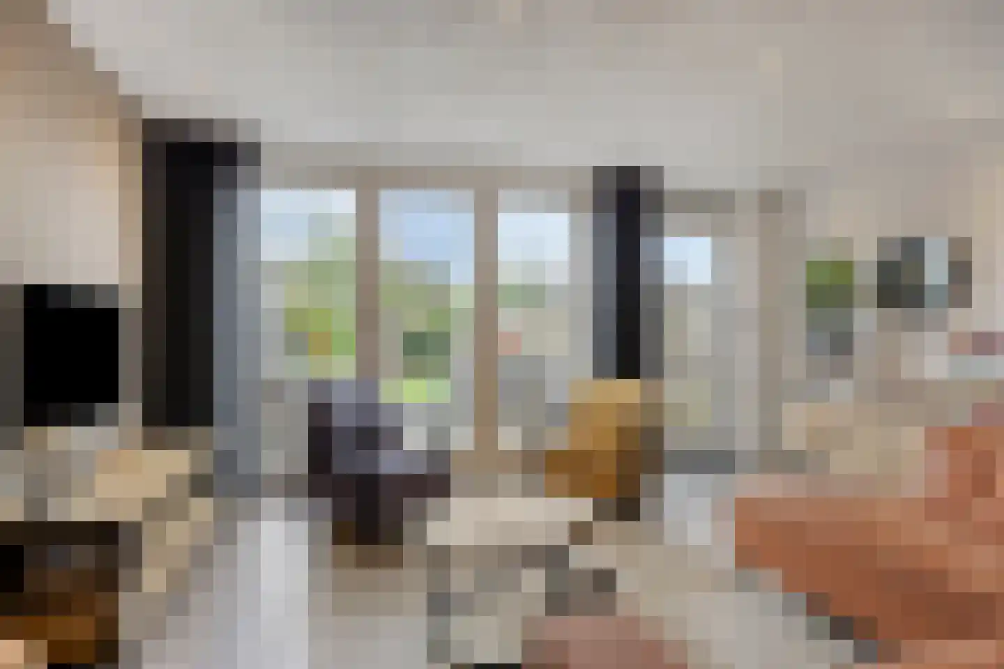 Elstar 4 Assen thumbnail 10