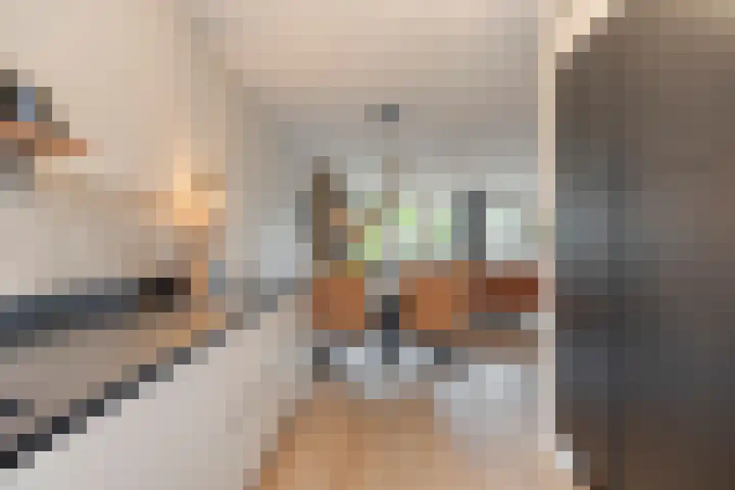 Elstar 4 Assen thumbnail 18