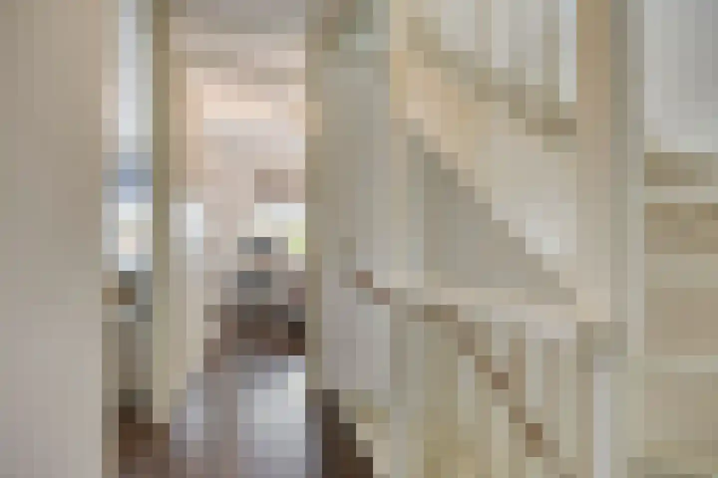 Elstar 4 Assen thumbnail 21