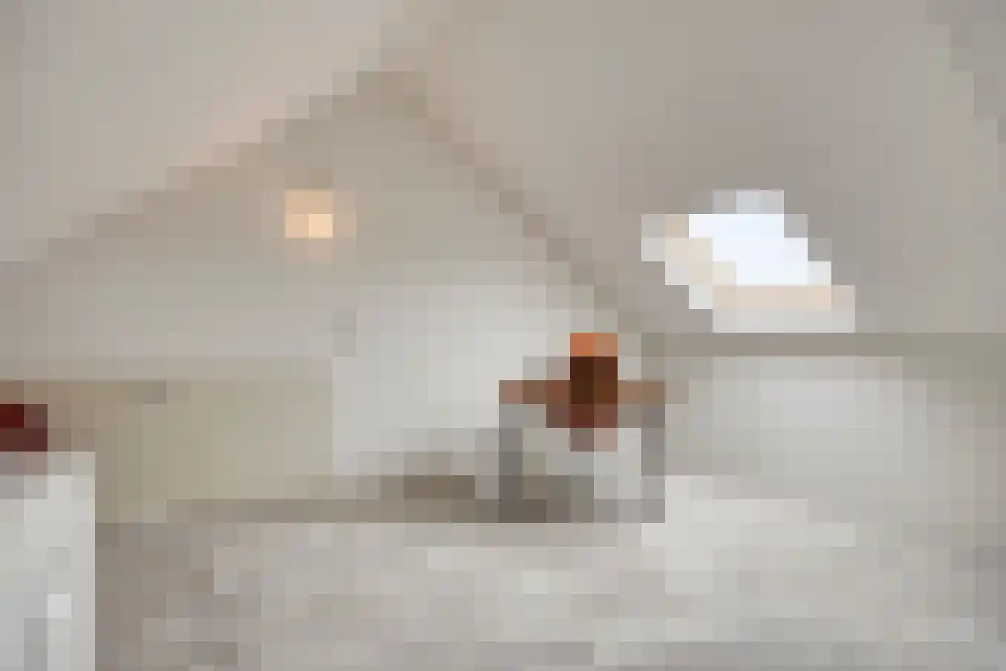 Elstar 4 Assen thumbnail 29