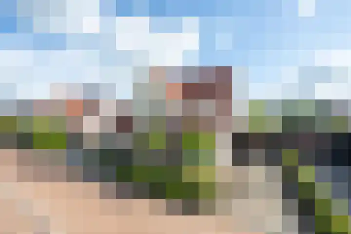 Elstar 4 Buren