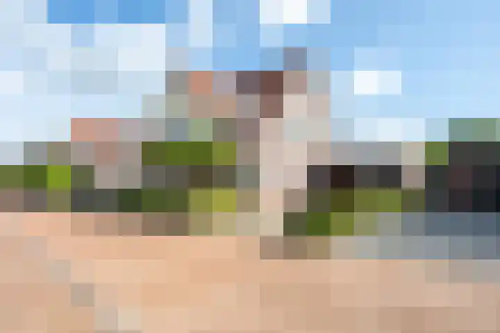 Elstar 4 Buren thumbnail 10