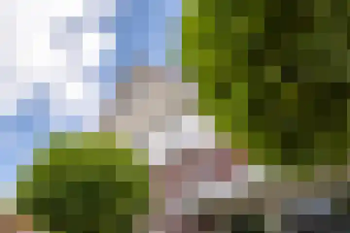 Elstar 4 Buren thumbnail 12