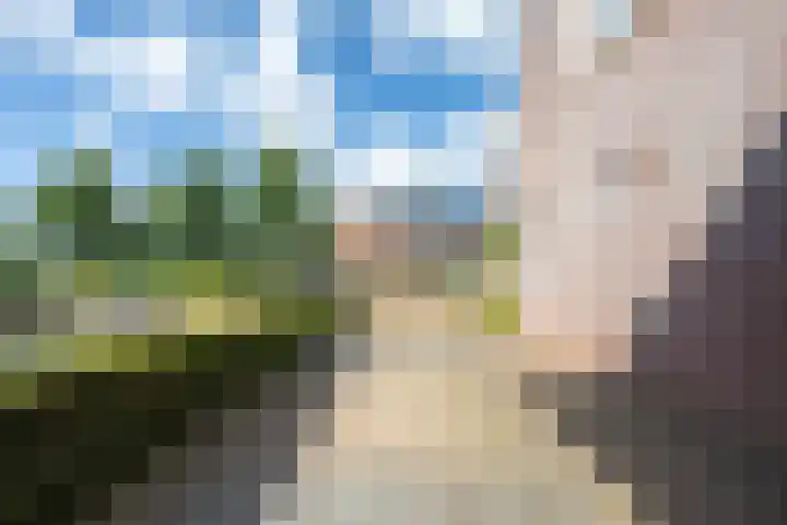 Elstar 4 Buren thumbnail 16