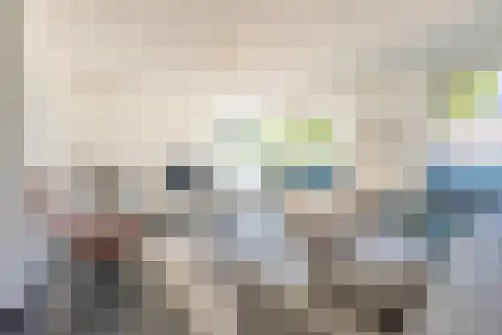 Elstar 4 Buren thumbnail 19