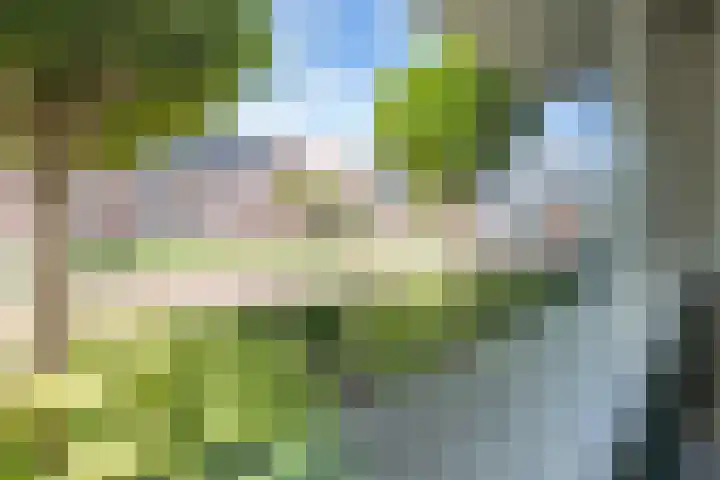 Elstar 4 Buren thumbnail 21