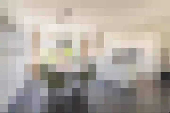 Elstar 4 Buren foto 3