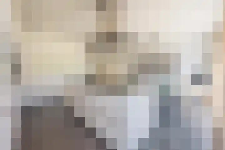 Elstar 4 Buren thumbnail 32