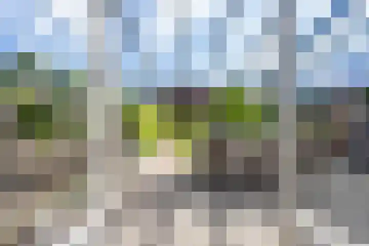 Elstar 4 Buren thumbnail 35