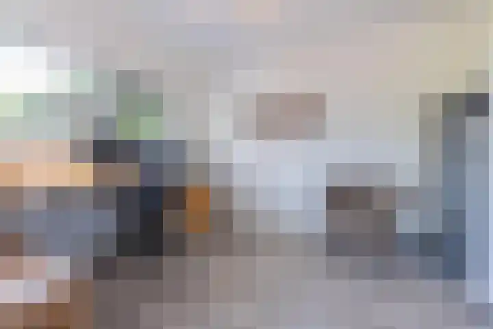 Elstar 4 Buren thumbnail 39