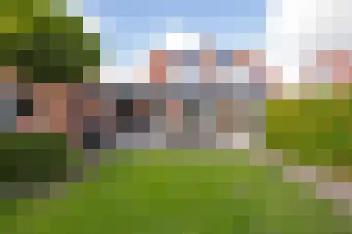 Elstar 4 Buren thumbnail 41