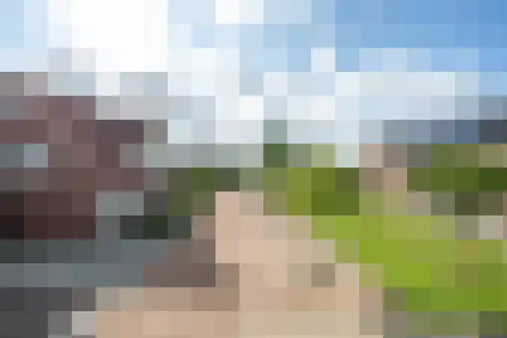 Elstar 4 Buren thumbnail 5