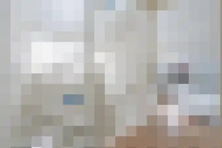 Elstar 4 Buren thumbnail 52