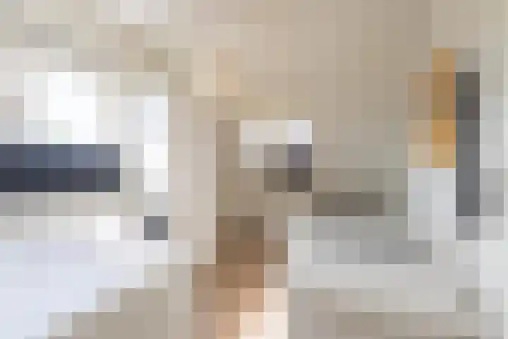 Elstar 4 Buren thumbnail 53