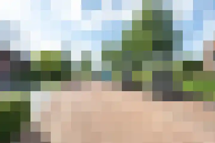 Elstar 4 Buren thumbnail 6