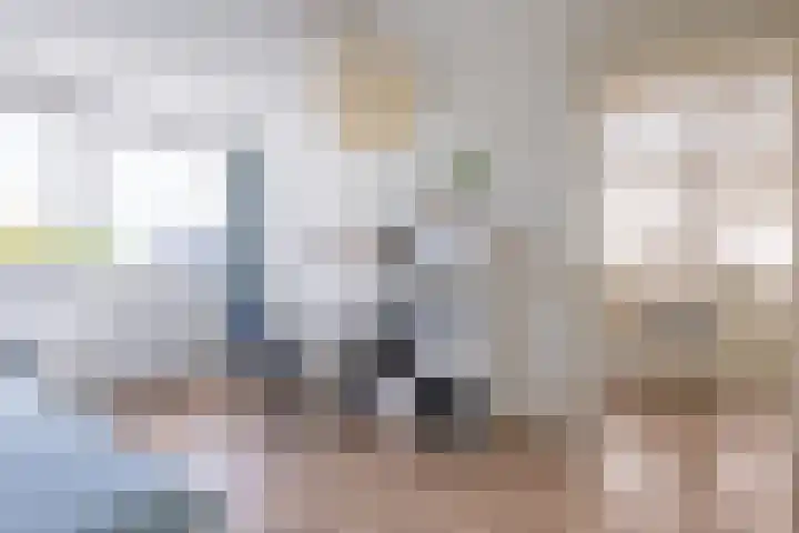 Elstar 4 Buren thumbnail 60