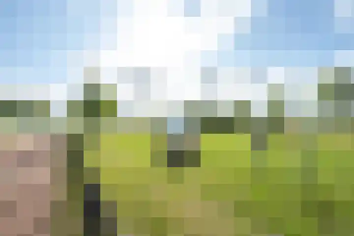 Elstar 4 Buren thumbnail 8